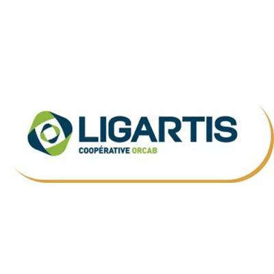 logo ligartis